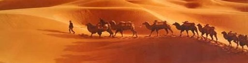Caravan of camels on the Silk Road