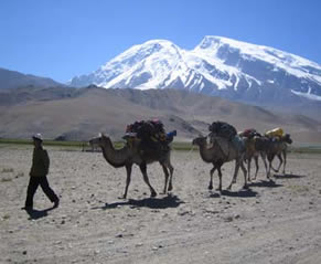 Through the mountains on camels