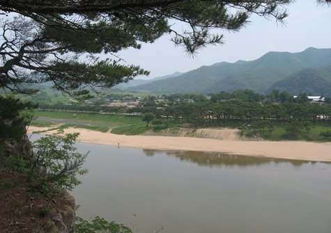 Rice Paddy in South Korea