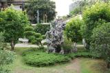 Click for preview picture of "CCA39 (3000 x 1994)"
