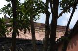 Click for preview picture of "SCT100 (3000 x 1994)"