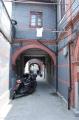 Click for preview picture of "FC21 (1329 x 2000)"