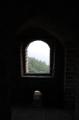 Click for preview picture of "GW9 (1329 x 2000)"