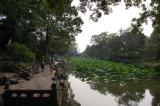 Click for preview picture of "HAG10 (3000 x 1994)"