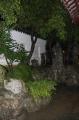 Click for preview picture of "MN62 (1329 x 2000)"