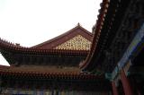 Click for preview picture of "SP120 (3000 x 1994)"