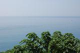 Click for preview picture of "TP161 (3000 x 1994)"