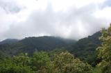 Click for preview picture of "TP2 (3000 x 1994)"