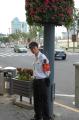 Click for preview picture of "SB26 (1329 x 2000)"