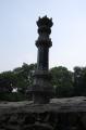 Click for preview picture of "TH78 (1329 x 2000)"